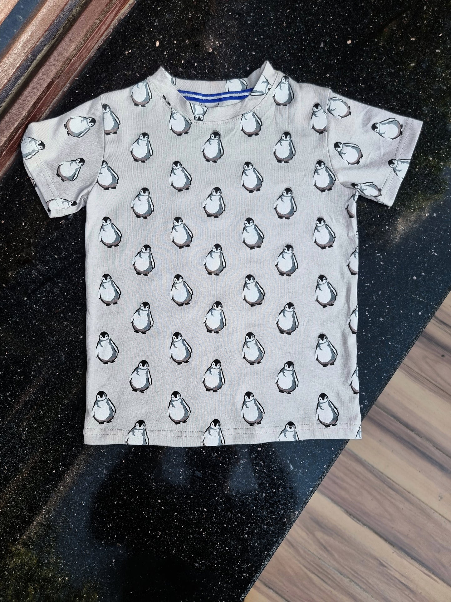 Pengiuen T-shirt